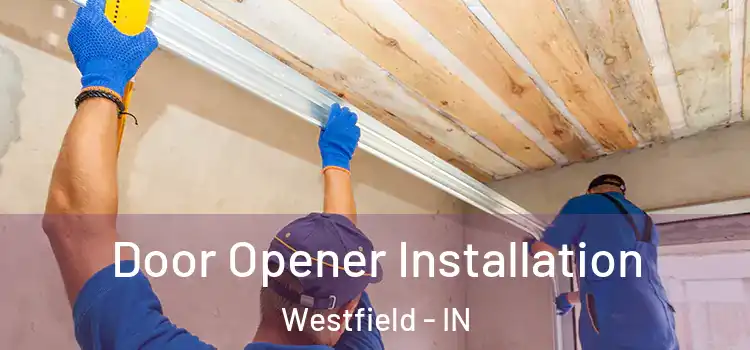  Door Opener Installation Westfield - IN