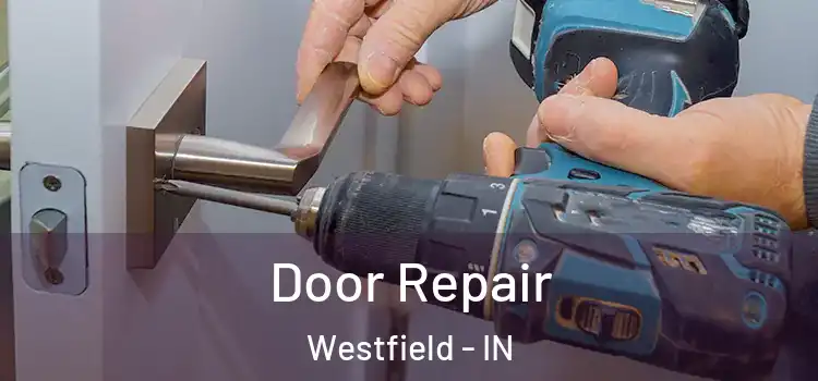  Door Repair Westfield - IN