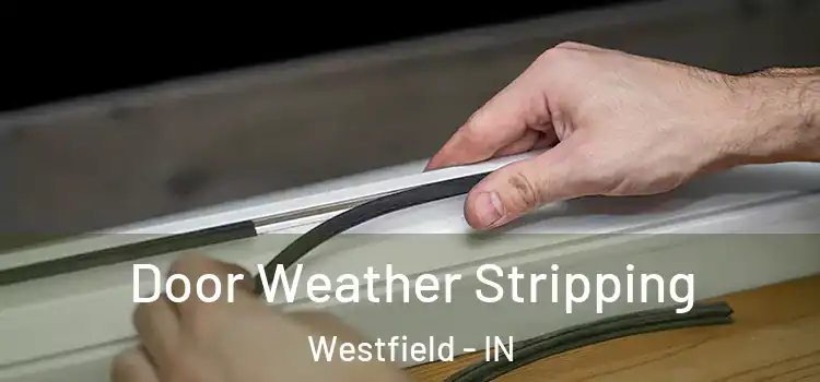 Door Weather Stripping Westfield - IN