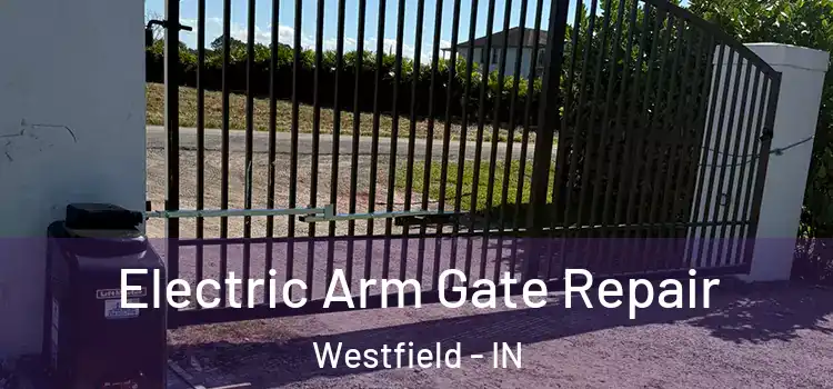 Electric Arm Gate Repair Westfield - IN