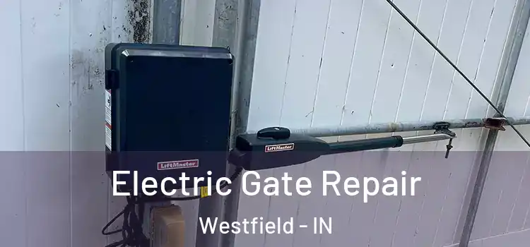 Electric Gate Repair Westfield - IN