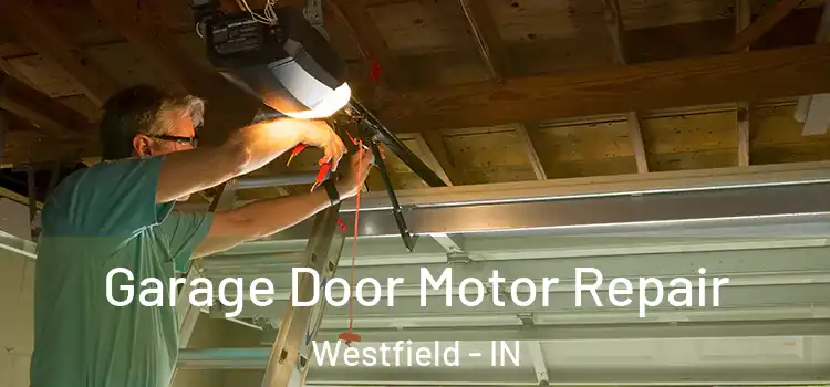  Garage Door Motor Repair Westfield - IN