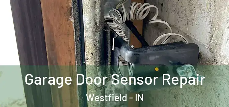 Garage Door Sensor Repair Westfield - IN