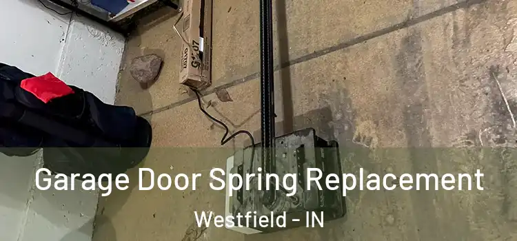  Garage Door Spring Replacement Westfield - IN