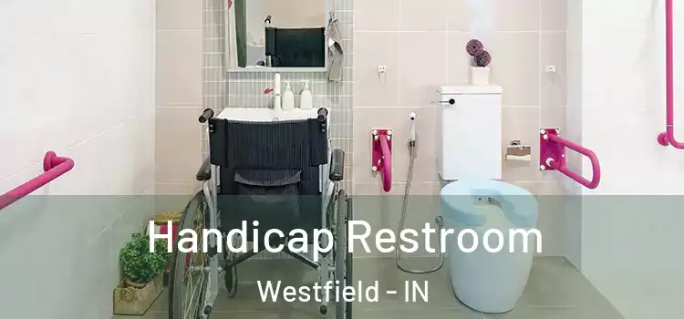  Handicap Restroom Westfield - IN