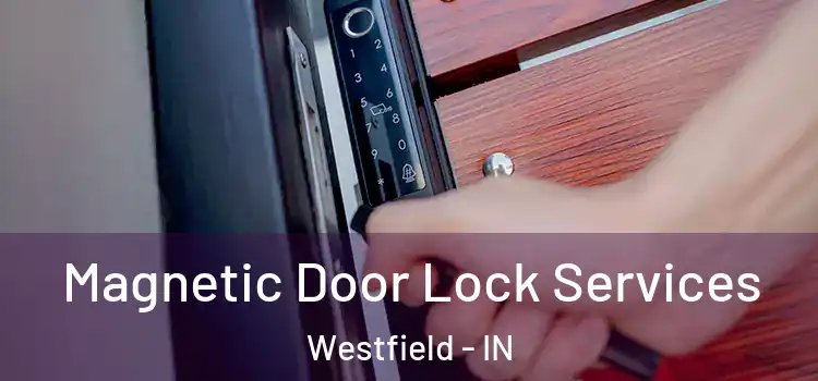  Magnetic Door Lock Services Westfield - IN