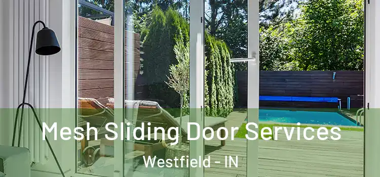  Mesh Sliding Door Services Westfield - IN
