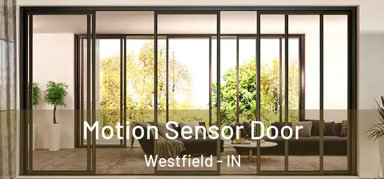  Motion Sensor Door Westfield - IN