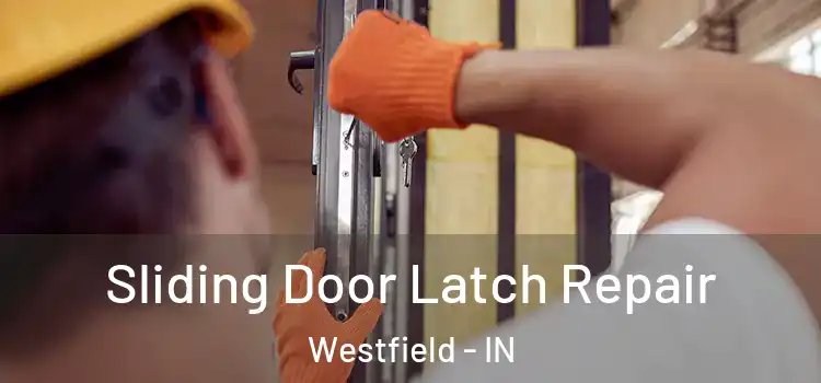  Sliding Door Latch Repair Westfield - IN